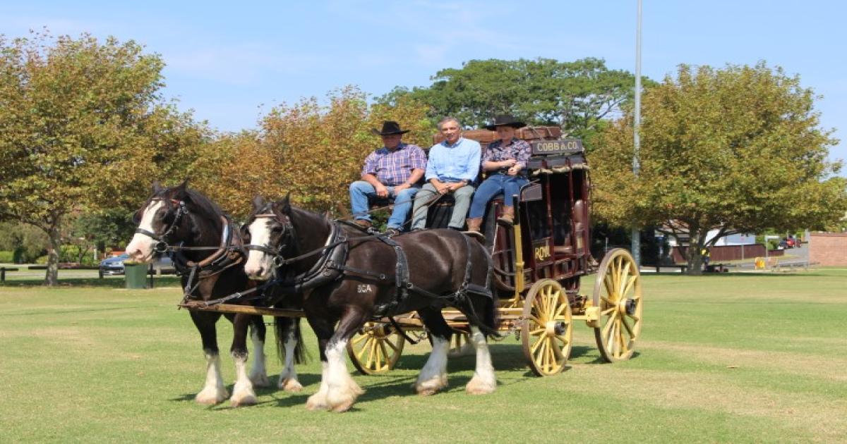 Concord Carnival 2020 City of Canada Bay Council